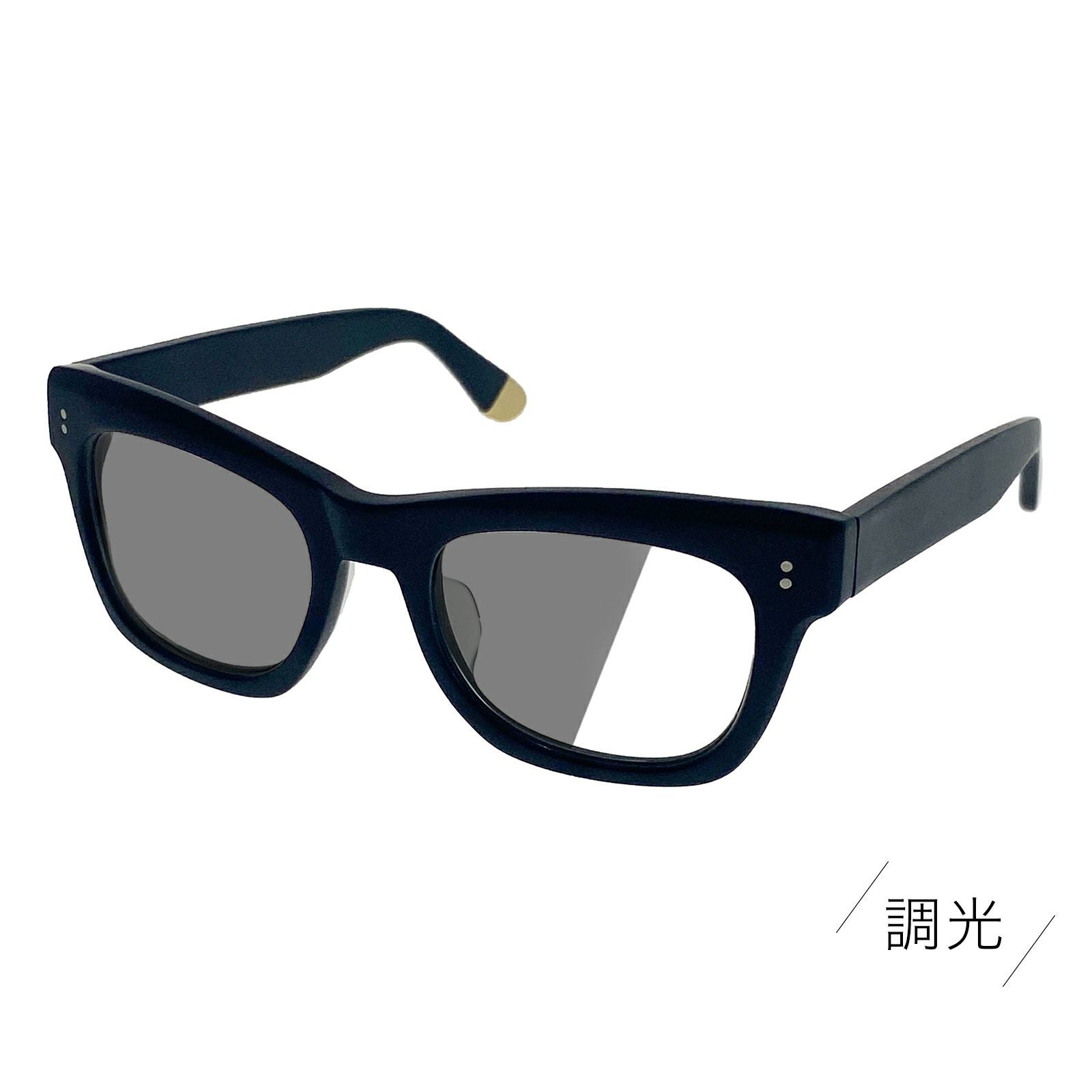 ahpl SABRE A.H.P.L. コラボ サングラス RAMBLER（調光レンズ） | YTS STORE